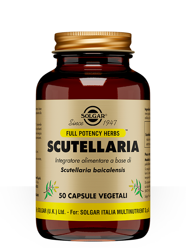 SCUTELLARIA