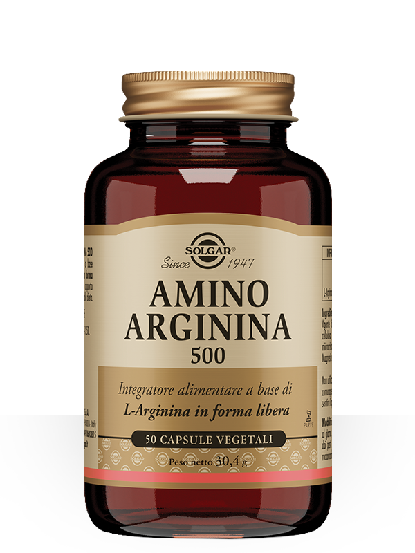 AMINO ARGININA 500