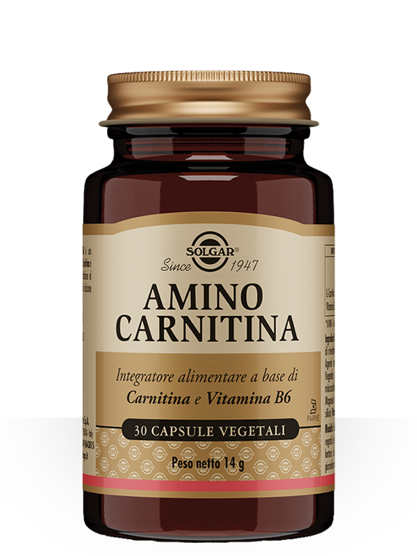 AMINO CARNITINA