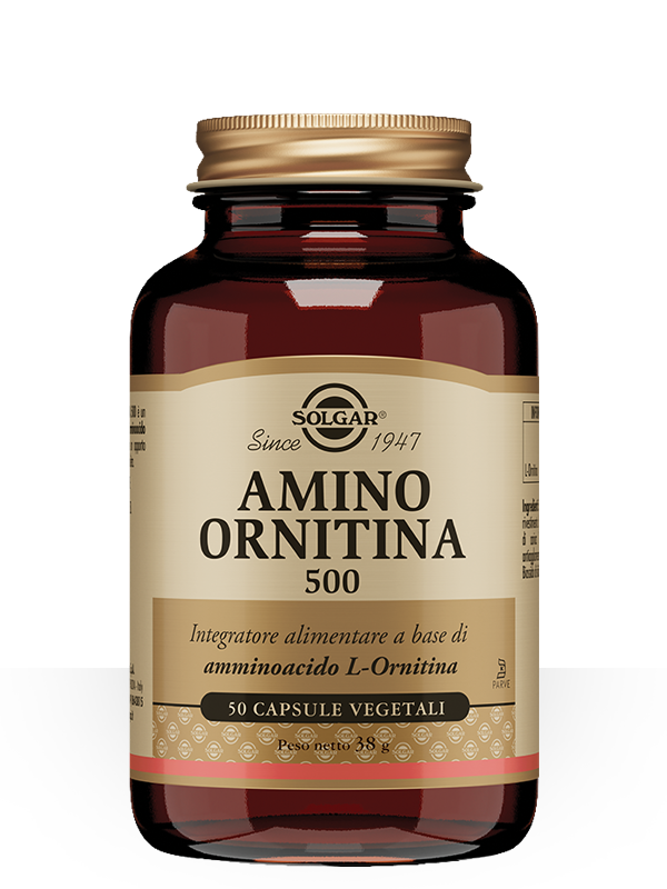 amino ornitina